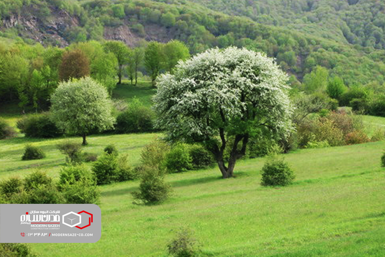 دریاچه خلشکوه رودبار و جاذبه های دیدنی آن