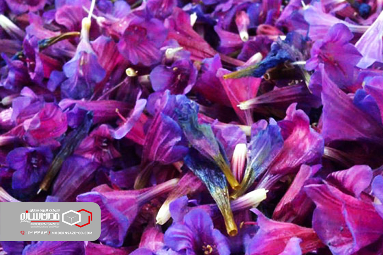 دریاچه خلشکوه رودبار و جاذبه های دیدنی آن